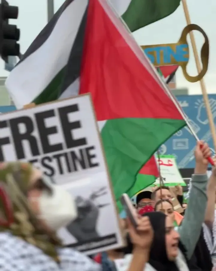 Day Of Action Shut It Down For Palestine